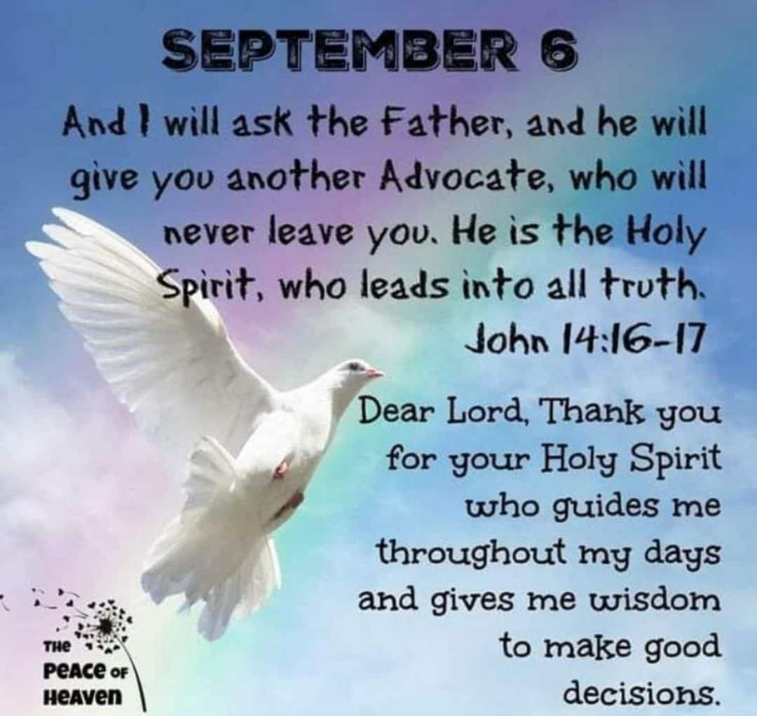 THE HOLY SPIRIT OUR COMFORTER.